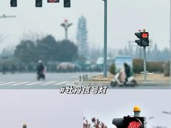 -洛阳市牡丹公园