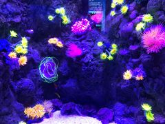 -成都浩海立方海洋公园