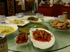 -丁老爷子苏香圆