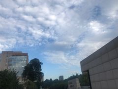 -四川大学(华西校区)