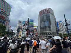-涩谷区