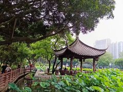-光明港公园