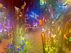 -台山颐和温泉城