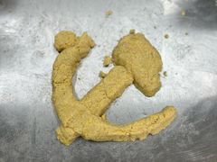 -中国大熊猫保护研究中心雅安碧峰峡基地