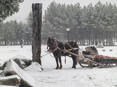 -北极村旅游风景区