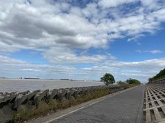 -上海滨江森林公园