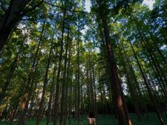 -河南省黄河迎宾馆