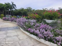 -深圳国际园林花卉博览园