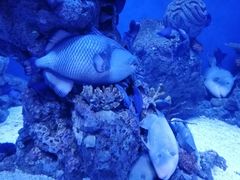 -成都浩海立方海洋公园