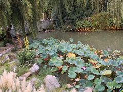 -洛阳市隋唐城遗址植物园