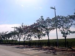 -太湖湾开元名庭大酒店