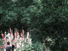 -新江湾城公园