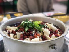 -晓彭肥肠鸡·泡椒鸡火锅(水木天地店)