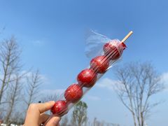 -金海椒罐罐鲢鱼(东方桂苑店)