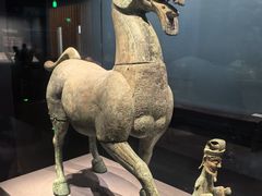 -广西壮族自治区博物馆