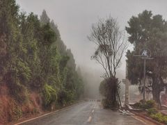 -七曲山风景区