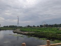 -白洋淀景区