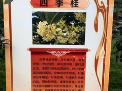 -北京市劳动人民文化宫(太庙)