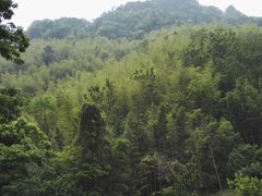 -太湖源风景区