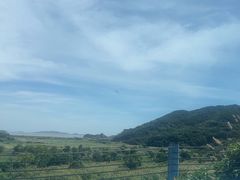 -东海半边山旅游度假区