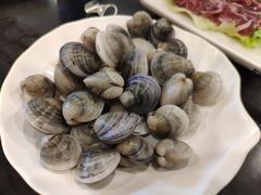 蛤蜊-吉友粥底火锅(方斜路店)