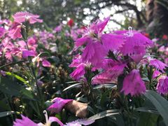 -人民公园(罗湖区)