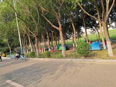 -丁香湖公园