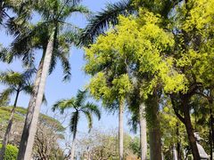 -广州雕塑公园