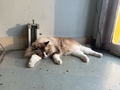 -白兔子密室(长寿路店)