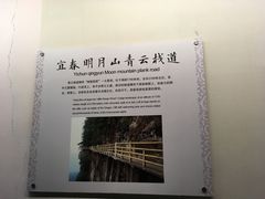 -赵州桥景区