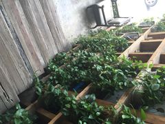 MAAN&nbsp;&nbsp;COFFEE&nbsp;漫咖啡(清江路店)-漫咖啡MAANCOFFEE(清江路店)