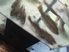 -盒马鲜生(新都心店)