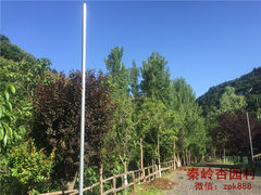 西安户外自助烧烤-山水农家乐