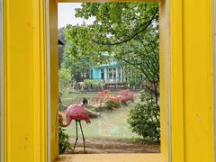 -铁山坪森林公园