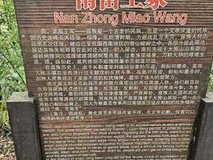 -大围山国家森林公园