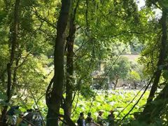 -韶山毛泽东同志故居