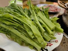 -乳仔牛牦牛汤锅 烤羊排(松潘古城店)