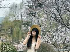 -迎泽公园
