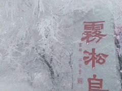 -雾凇岛