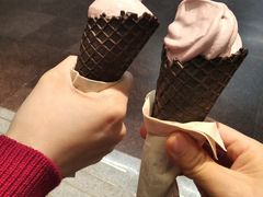 -奈雪的茶(新天地广场PRO店)