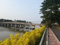 -大湾区中央湿地公园