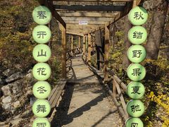 -大岭沟猕猴桃谷风景区