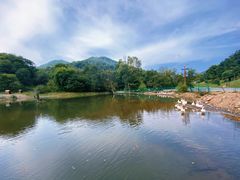 -大水川景区