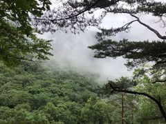 -五女峰国家森林公园