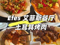 -Efes Turkish & Mediterranean Cuisine 艾菲斯餐厅(陆家嘴店)