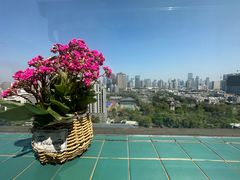 -萨芭蒂高空花园餐酒吧