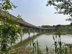 -昆山城市生态森林公园