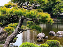 -水前寺成趣园