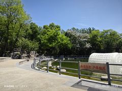 -莲湖公园