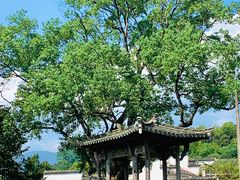 -塔川景区